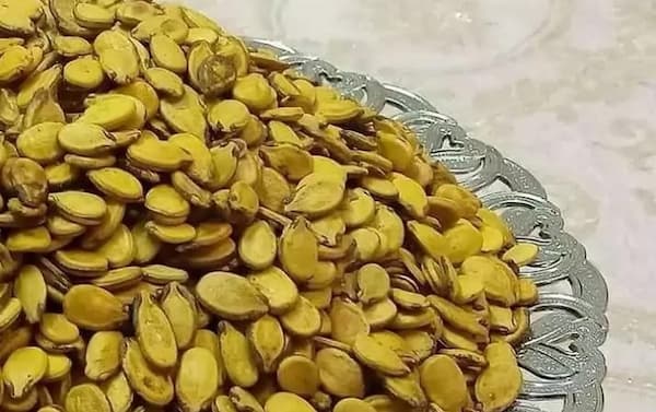 قیمت تخمه محبوبی زرد با فروش عمده